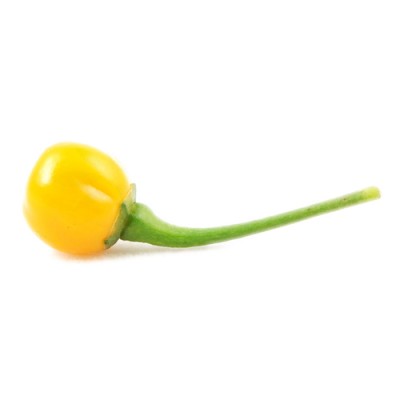 Aji Charapita yellow big | Fresh Chilli