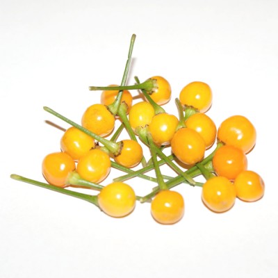 Aji Charapita yellow small | Fresh Chilli