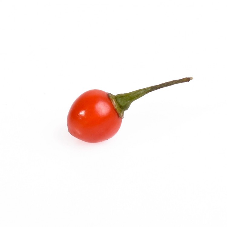 Aji Charapita red | Fresh Chilli